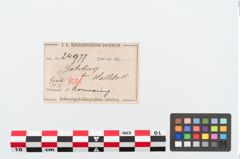 Etiketten zu Bronzearmreif (NHMW-PRAE-024977)